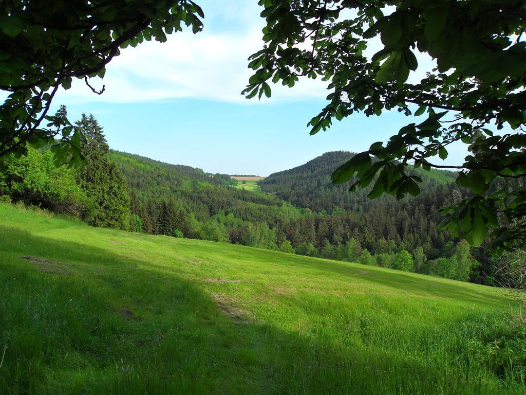 Ferienwohnung Wildenreuth Weidenberg Luaran gambar