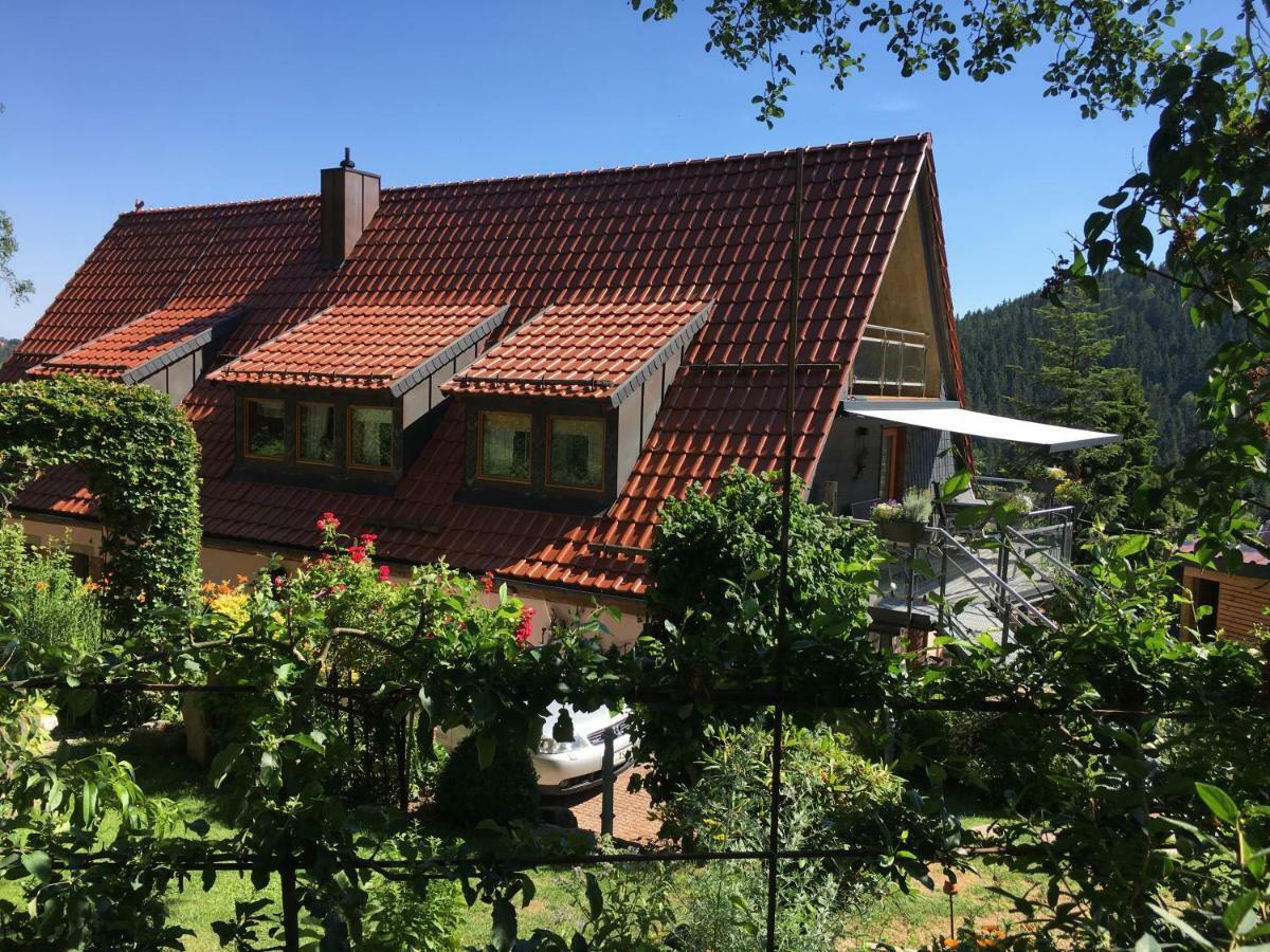 Ferienwohnung Wildenreuth Weidenberg Luaran gambar